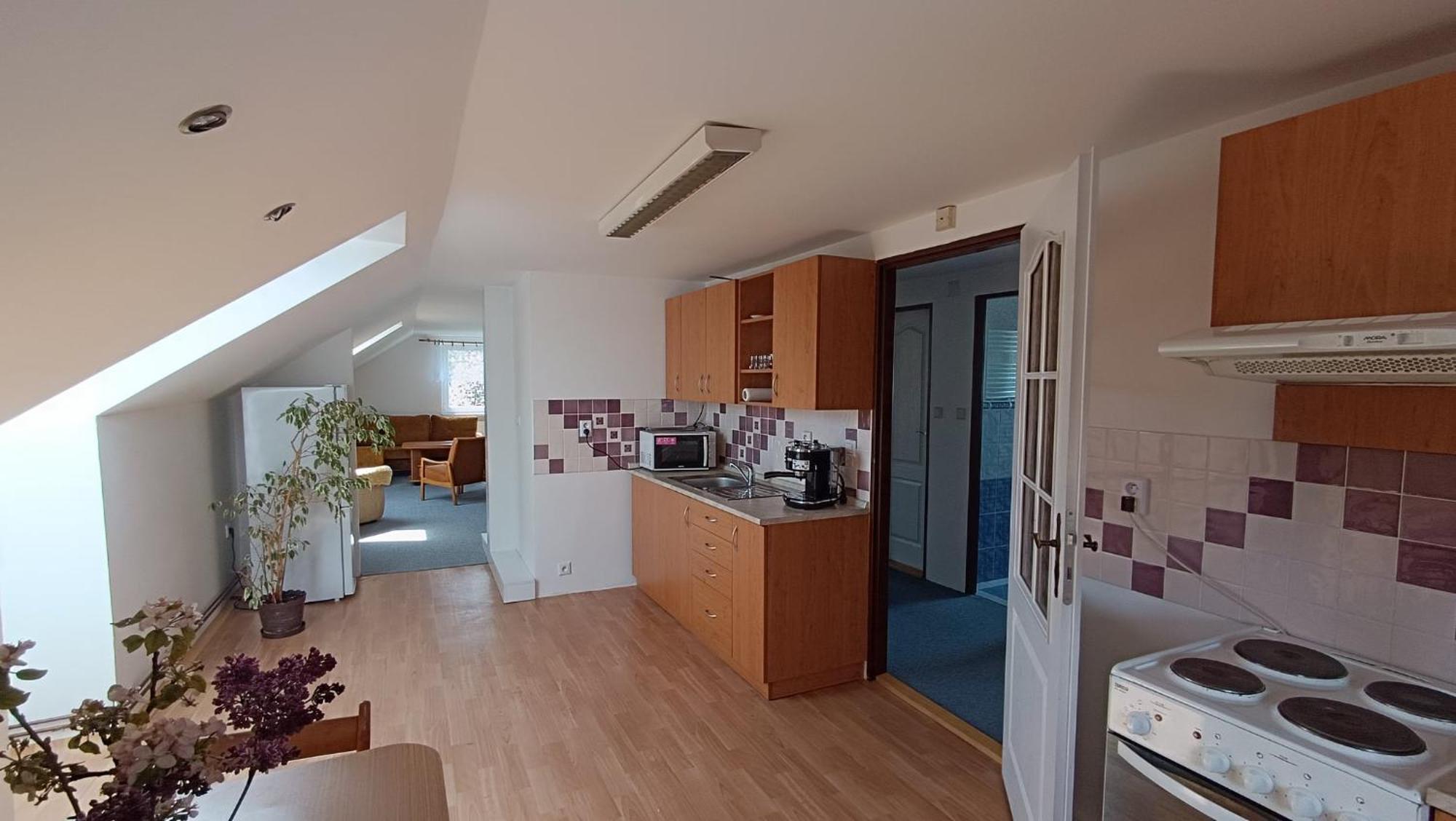 Apartment Vcelakov Bagian luar foto